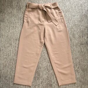 Aritzia Jallade Pant